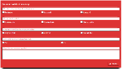 WordPress-Forms-1